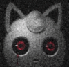 ryanswild Avatar