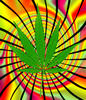 zinchead Avatar