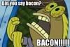 baconasaurus Avatar