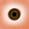 hypercombofinish Avatar