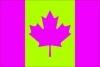 jstrap Avatar