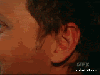 thelonelynewfag Avatar