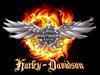 harleyford Avatar