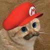 mrcolorado Avatar