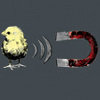 Cottonsocks Avatar