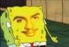 dankey Avatar