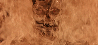 slovak Avatar