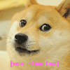 HerpidyDerp Avatar