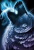 tonydalion Avatar