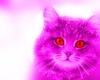 mistyrainbow Avatar