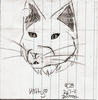 wolfmikachan Avatar