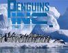 penguinsinc Avatar