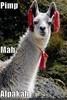 alalalalalong Avatar