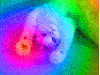 crayonsnorter Avatar
