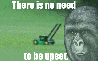 gimmeyobrain Avatar