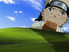 naldibesti Avatar