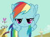 rainbowdashesbro Avatar