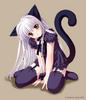 sorandomllycool Avatar