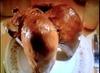 turkeyass Avatar