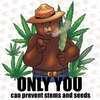 chillinwithbears Avatar