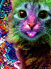zmaro Avatar