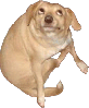 tammus Avatar