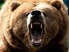 grimgrizzly Avatar