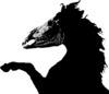 horsefear Avatar