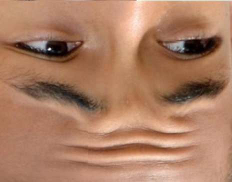 4893031+_e7f6968c81166b6a3a72462c9dda0a2