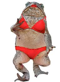 Paczilla+rolled+image+_4454a9559779aee5e1e222755efd1c81.jpg