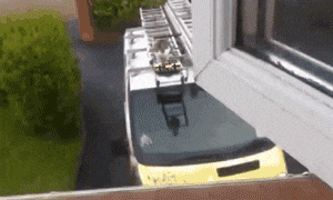 Directed by Michael Bay. .. I like Michael Bay explosions.