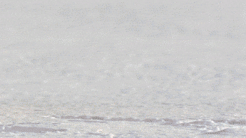 Directed by Michael Bay. .. I like Michael Bay explosions.