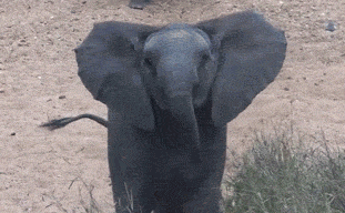 Directed by Michael Bay. .. I like Michael Bay explosions.