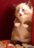 dumnping cool gifs part 2. my favorite one of them all not exactly efficient, but it looks cool ur an faget raawr.