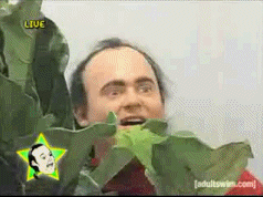 How+i+feel+hiding+in+bushes+in+far+cry+3_29a957_4330102.gif