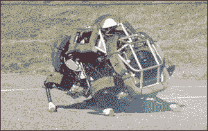 How shit works comp. Fire alarm, now you know just how far you can pull it without getting arrested. How "science" wants us to believe big bird works 