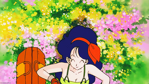 Launch Comp. Launch is a character from the original Dragon Ball series who managed to foreshadow the entirety of Z before Toriyama even knew what was going on.