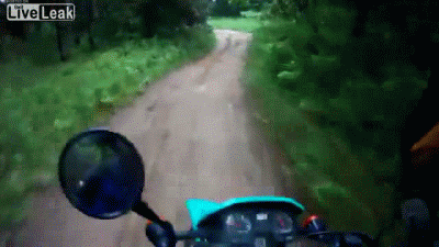 lucky comp. .. People like this should no be left alive, this was at Mawson lakes railway station in the north of Adelaide. The northern suburbs of Adelaide are like one massi