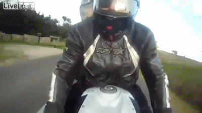 lucky comp. .. People like this should no be left alive, this was at Mawson lakes railway station in the north of Adelaide. The northern suburbs of Adelaide are like one massi