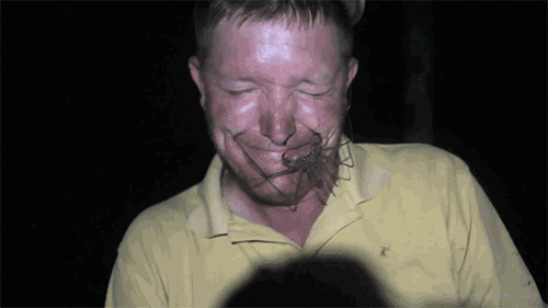 http://new1.fjcdn.com/gifs/Please+do+not+open+your+mouth_a6ab62_5449896.gif