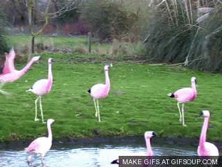 The straight talk express. Do you want to see workout results like this? And like this? Seriously Eat less of this And more of this Leave the "favorite&quo