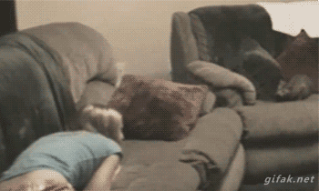 This+did+not+go+as+planned_27231a_5414643.gif