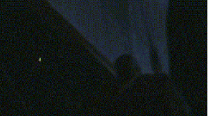 Thumb Praise Comp 2. .. If you do one for reds, here's an addition. About a year ago someone on here made this at my request because I'm not exactly good at gif editing.