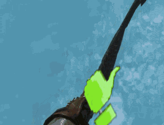 Thumb Praise Comp 2. .. If you do one for reds, here's an addition. About a year ago someone on here made this at my request because I'm not exactly good at gif editing.