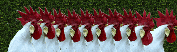 Time to waste your time. You probably shouldn't look at this comp if your high... I bring the upgraded version