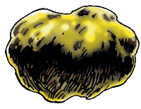 D&D 3e Deities /w GreyHawk Content.. There are over 200 D&amp;D Deities all each unique and different in their own aspect, because of that I picked the the 3e o