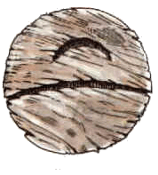 D&D 3e Deities /w GreyHawk Content.. There are over 200 D&amp;D Deities all each unique and different in their own aspect, because of that I picked the the 3e o