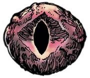 D&D 3e Deities /w GreyHawk Content.. There are over 200 D&amp;D Deities all each unique and different in their own aspect, because of that I picked the the 3e o