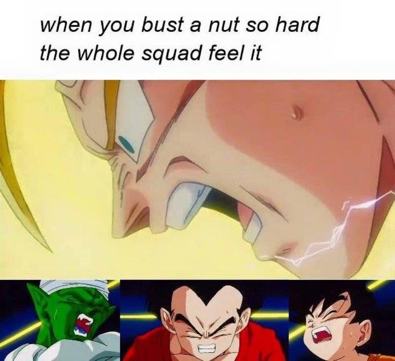 Dbz+squad_18ce45_5411914.jpg