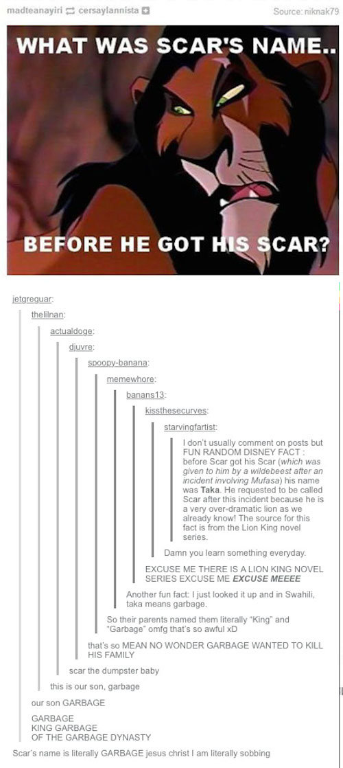 Disnee. .. Watch where you're going ya fool!